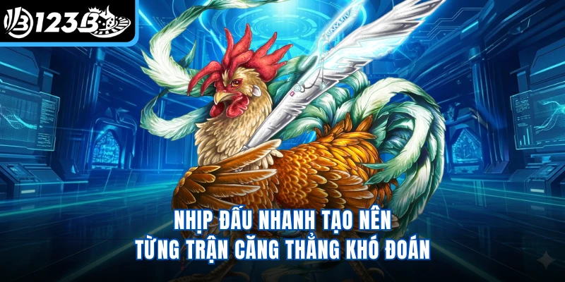 Nhịp đấu nhanh tạo nên từng trận căng thẳng khó đoán